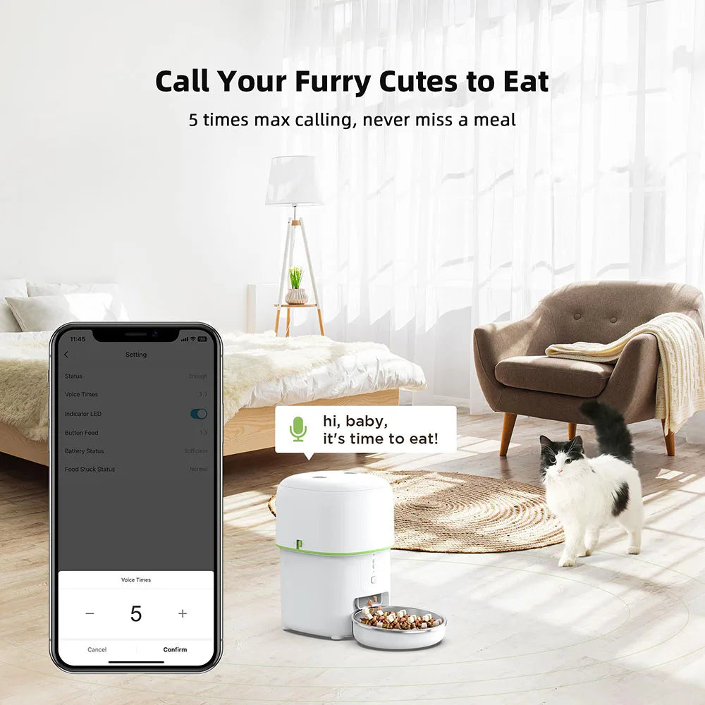 2L Button Wifi Camera Automatic Cat Feeder Pet Smart Cat Food Dispenser Timer Stainless Steel Bowl Auto Feeder for Cats Dog Bowl